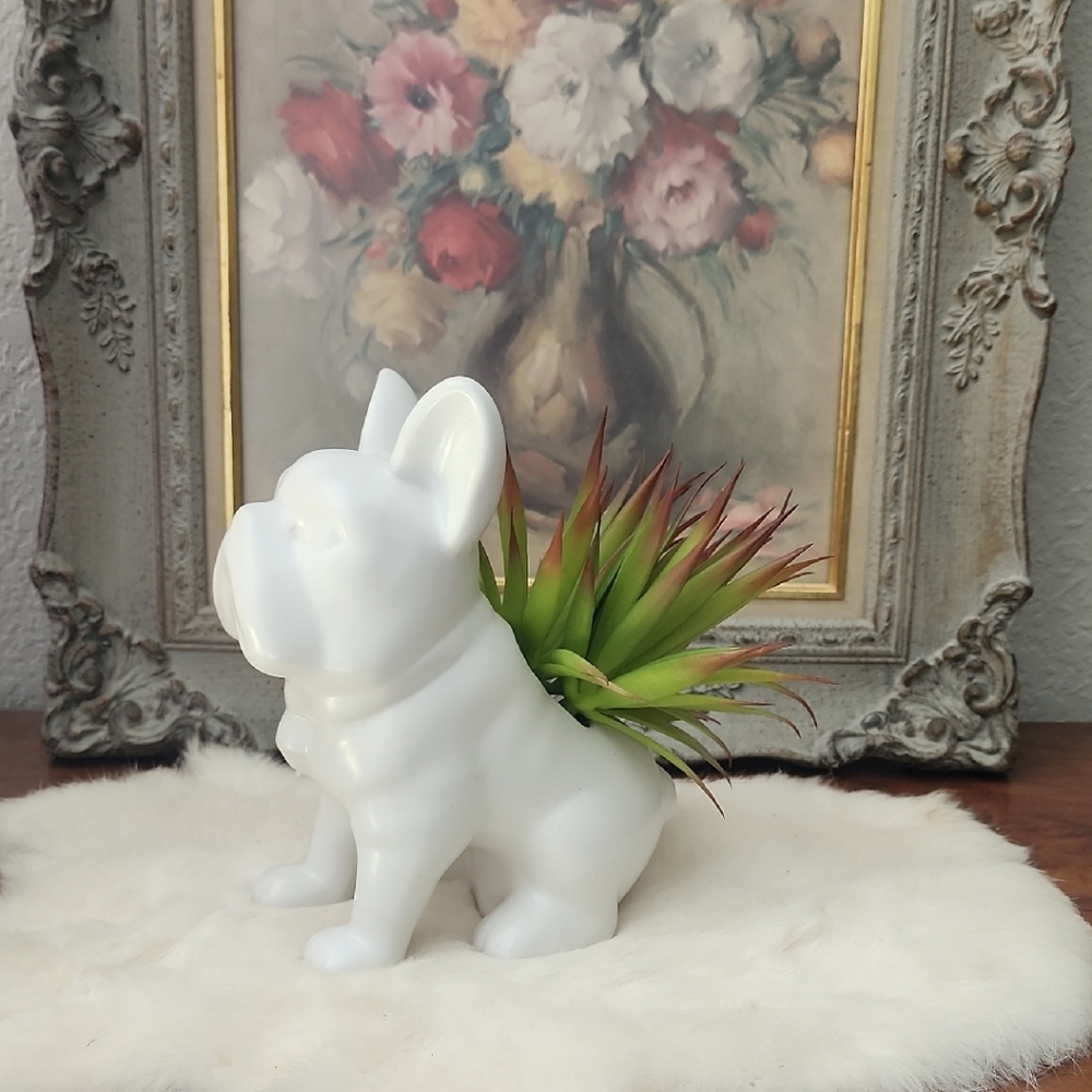 White Bulldog Planter with Green Succulent